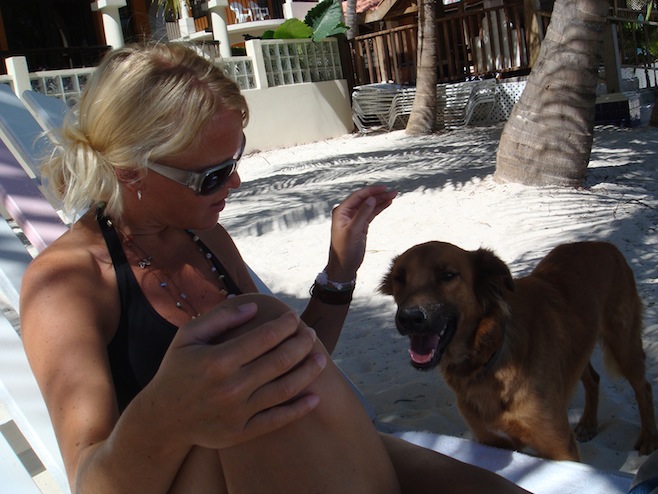 Island Mutt